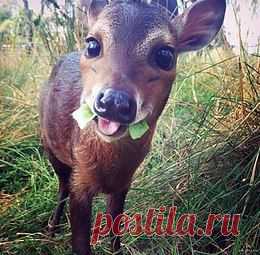 Берегите природу