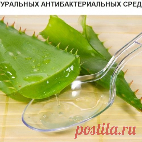 Тир антибактериальных средства