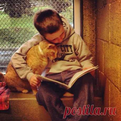 &quot;... И днём, и ночью кот учёный все ходит по цепи кругом...&quot;
