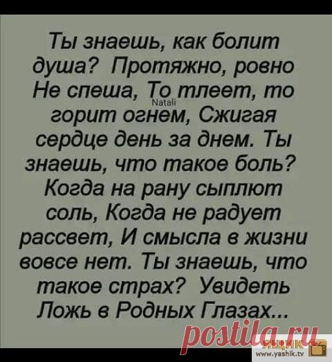 Позитивчик Огромная подборка и коллекция прикольных и ржачных картинок и фотографий.