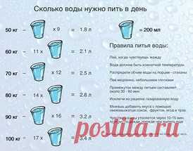 сколько весит порция гречки для похудения: 8 тыс изображений найдено в Яндекс.Картинках