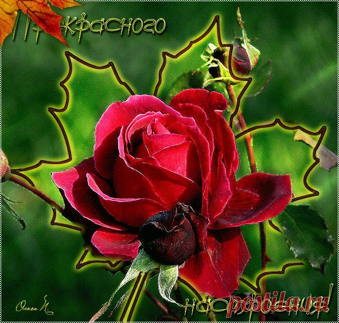 Анимация - SuperGif