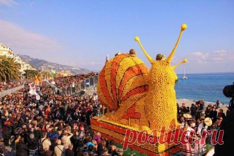 Фестиваль цитрусовых в столице лимонов Ментоне

Среди самых необычных праздников мира особое место занимает фестиваль лимонов в Ментоне, проходящий на берегу французской Ривьеры во второй половине февраля. На этот удивительный праздник собираются десятки тысяч французов и иностранных гостей. На средиземноморском побережье Франции лимонный фестиваль немного уступает по популярности разве что только знаменитому карнавалу в Ницце и гонкам «Формулы-1» в Монако.