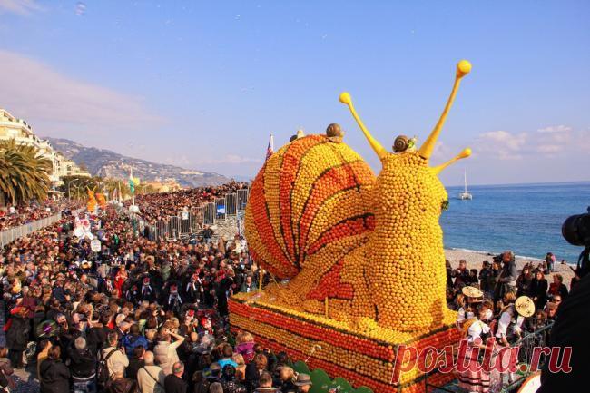 Фестиваль цитрусовых в столице лимонов Ментоне

Среди самых необычных праздников мира особое место занимает фестиваль лимонов в Ментоне, проходящий на берегу французской Ривьеры во второй половине февраля. На этот удивительный праздник собираются десятки тысяч французов и иностранных гостей. На средиземноморском побережье Франции лимонный фестиваль немного уступает по популярности разве что только знаменитому карнавалу в Ницце и гонкам «Формулы-1» в Монако.