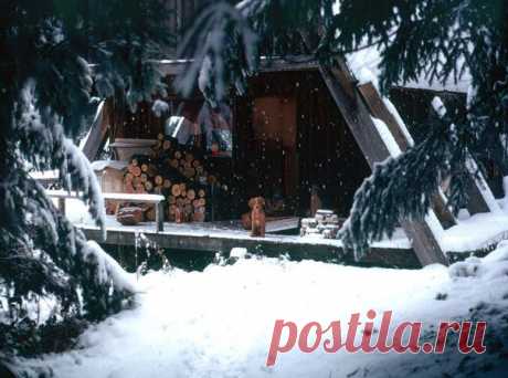 Уметь получать удовольствие от пустяков — чудесный талант. — Амели Нотомб