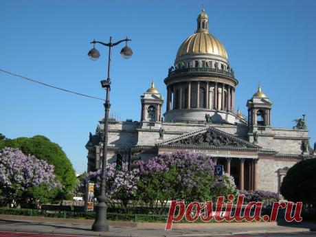 Исаакиевский собор в мае, В сквере цветёт серень.