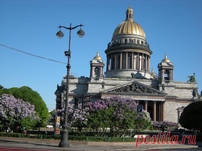 Исаакиевский собор в мае, В сквере цветёт серень.