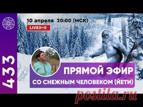 Прямой эфир &quot;Общение с ЙЕТИ (Bigfoot)&quot;
