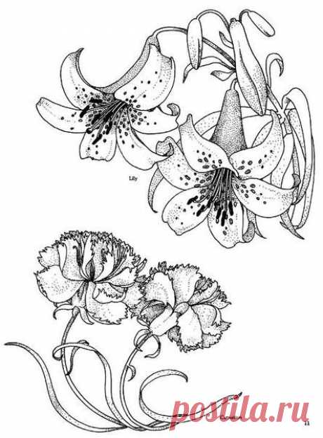 ЦВЕТОЧНЫЕ РИСУНКИ ДЛЯ РОСПИСИ, БАТИКА И ВИТРАЖА