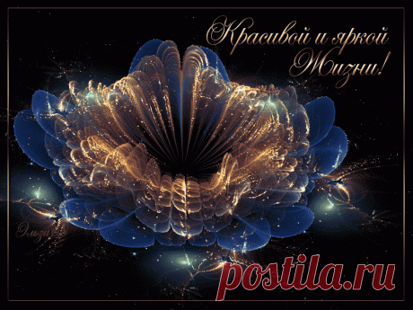 Google+