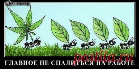 Демотиваторы в контакте, на стену граффити картинки дэмы, со смыслом, про любовь, прикольные, смешные, скачать вконтакте