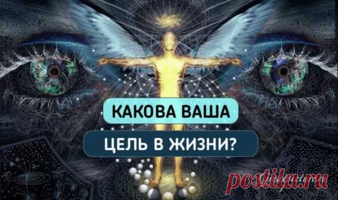 Какова ваша истинная цель в жизни? Этот тест знает о вас все! — Бабушкины секреты