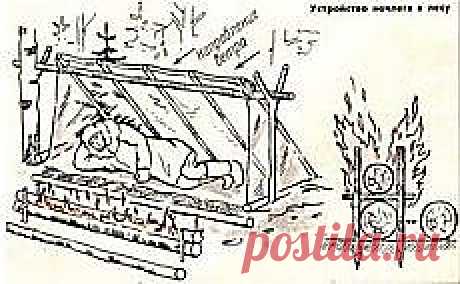 Школа выживания | Как стать лучше | Постила | Постила