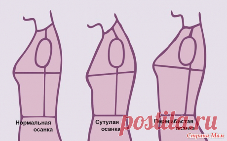 Энциклопедия ростка. Все про построение идеальной выкройки - Вязание - Страна Мам