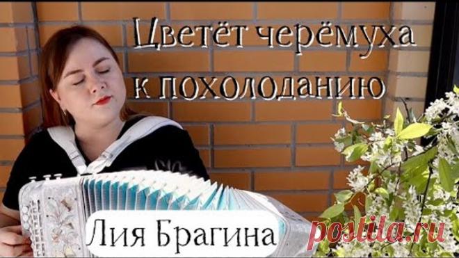 Поем все вместе! Лия Брагина - Цветёт черёмуха к похолоданию (Г.Пономаренко - Т.Коршилова)