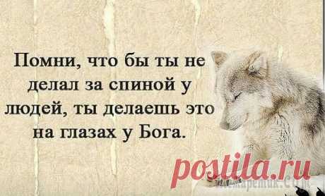 Умные мысли