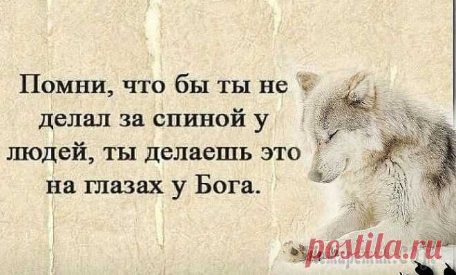 Умные мысли