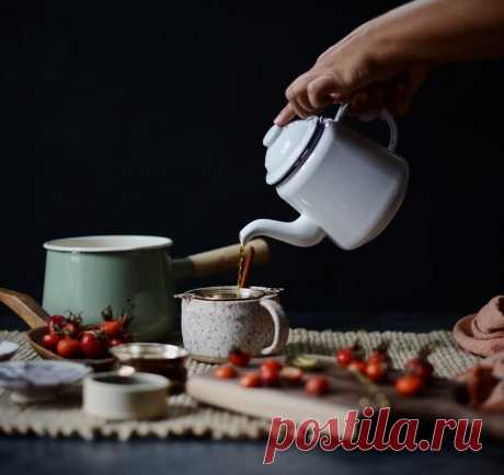 Полезные свойства шиповника для нашего организма