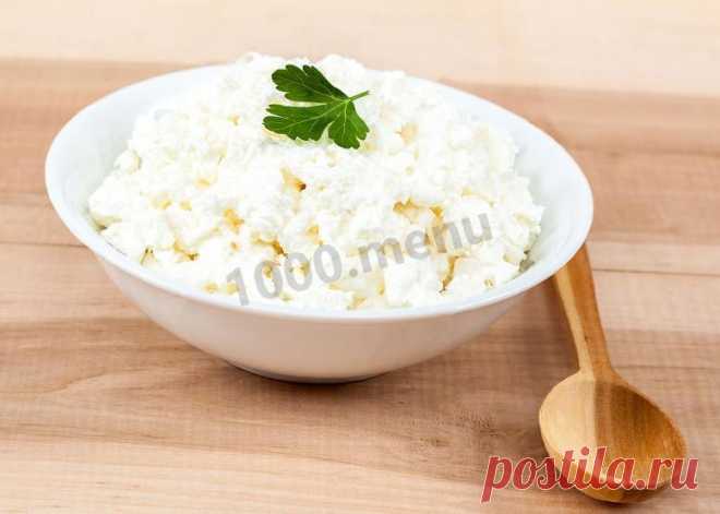 Домашний творог из козьего молока рецепт с фото - 1000.menu