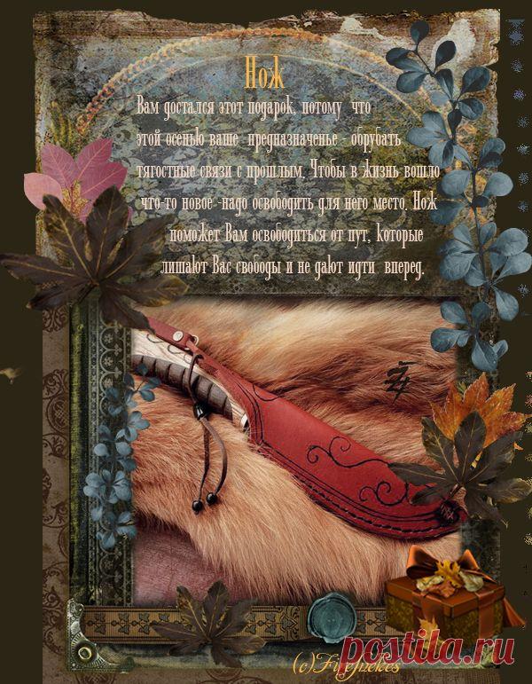 Подарок от осени.