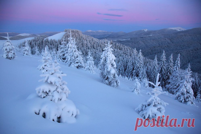35PHOTO - Тарас - ...с первым днём Зимы!