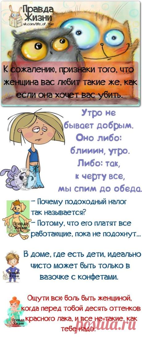 Прикольные фразочки в картинках