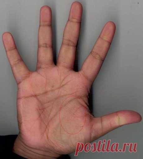 Линия ангела-хранителя на руке – мощная защита от бед | Экспресс-Новости