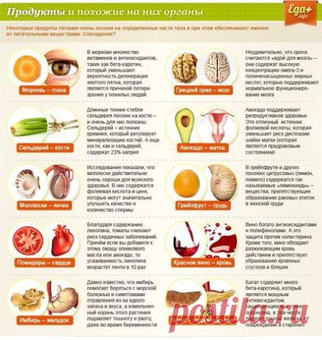 (34) Одноклассники