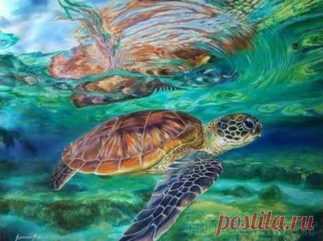 Картина Черепаха. Размеры: 60x50, Год: 2021, Цена: 29800 рублей Художник Прогорова Мария Юрьевна
