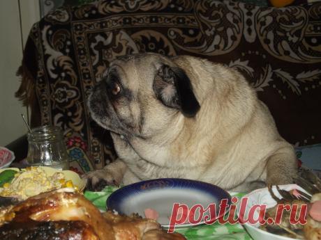 ну что наливать сегодня будут