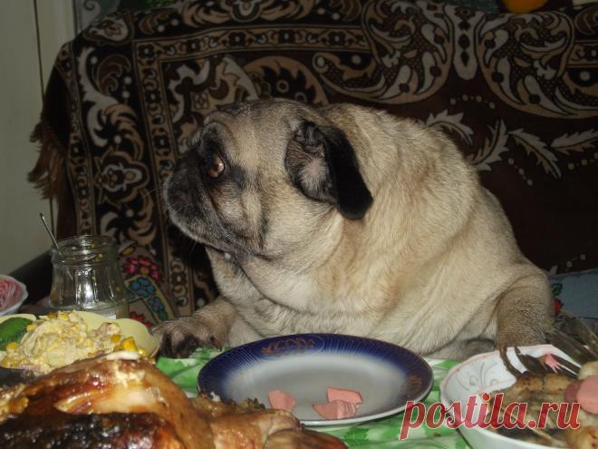 ну что наливать сегодня будут