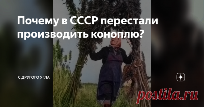 Почему в СССР перестали производить коноплю? В советские годы конопля являлась одной из основных сельскохозяйственных культур, на одном ряду с пшеницей и подсолнечником.