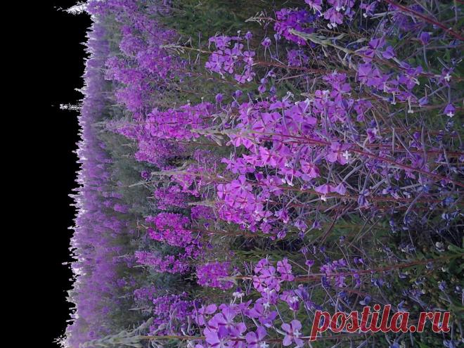 Плейкаст «С днём смеха тебя!»