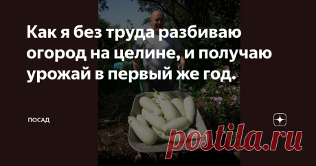 Как я без труда разбиваю огород на целине, и получаю урожай в первый же год. Эта статья будет в первую очередь полезна начинающим огородникам, счастливым владельцам куска поля с плотной дерниной, в которую, как говорится, и лопату не воткнуть.
С чего начать, когда руки опускаются? Ведь не каждый может загнать на участок бульдозер и счистить всё подчистую.
Наш папа уже не рад кабачкам, собранным "на целине".