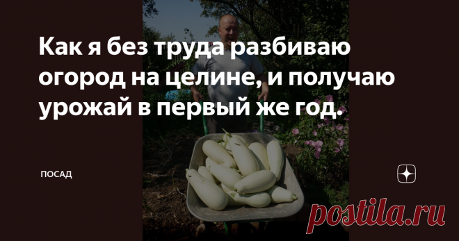 Как я без труда разбиваю огород на целине, и получаю урожай в первый же год. Эта статья будет в первую очередь полезна начинающим огородникам, счастливым владельцам куска поля с плотной дерниной, в которую, как говорится, и лопату не воткнуть.
С чего начать, когда руки опускаются? Ведь не каждый может загнать на участок бульдозер и счистить всё подчистую.
Наш папа уже не рад кабачкам, собранным 