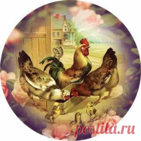 Диана Январева