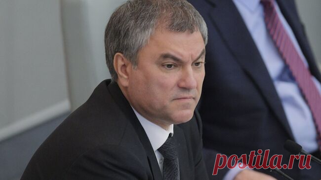 Володин раскритиковал Роспотребнадзор за норматив по жидкому мылу в школах