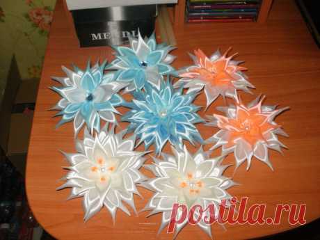 резиночки - георгины