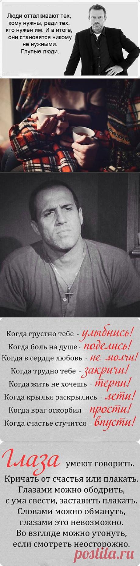 Коротко о Главном ✔