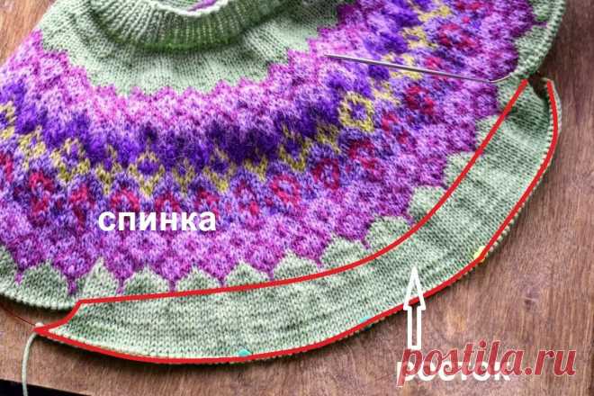 Росток в реглане. И чем отличаются виды ростков в реглане. | Сундучок Бабушки Наташи | Яндекс Дзен