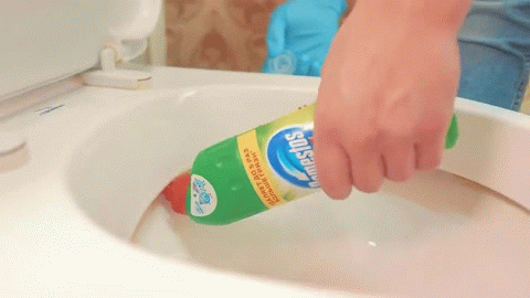 Как предотвратить появление черкашей в унитазе: 5 Странных лайфхаков для обычных людей | JustDay - Лайфхаки и Идеи | Яндекс Дзен