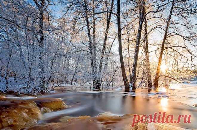 Праздники и памятные даты марта - календарь праздников