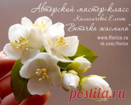 Florize.ru    Фото мастер-класс «Веточка жасмина»