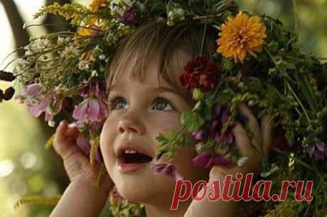 РАСТЕНИЯ НАС ОБЕРЕГАЮТ В древности люди... - Здоровье без границ