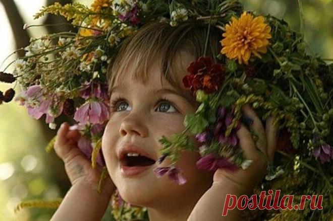 РАСТЕНИЯ НАС ОБЕРЕГАЮТ В древности люди... - Здоровье без границ