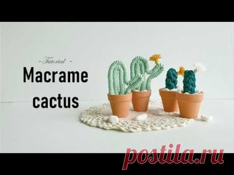 [etc] 🌵 Macrame cactus | 마크라메 선인장