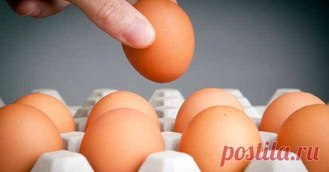 8 полезных сочетаний продуктов: помидоры и брокколи против рака, лук и гречка для…