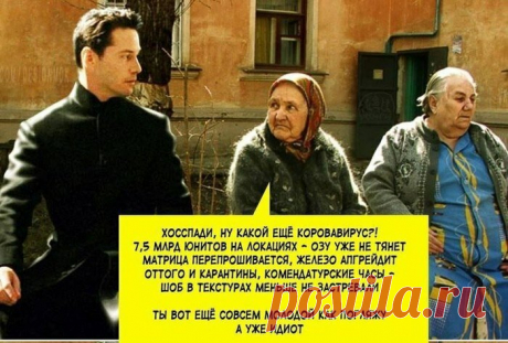 Веселые картинки-247 | glebas@tut.by | Яндекс Дзен