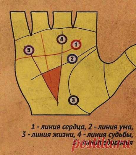 Треугольник на линии жизни – расшифровка значений фигуры