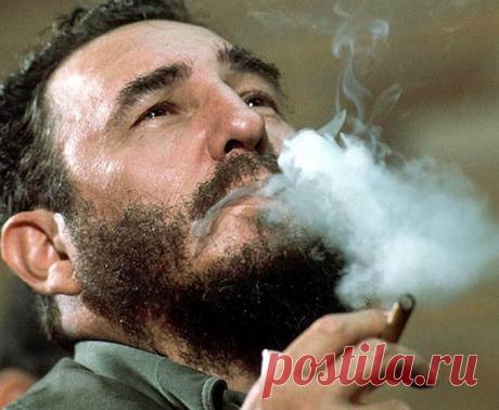 Неповторимый Фидель. Что мы знаем о лидере кубинской революции? / Общество / iFAQ - Интересные факты и вопросы